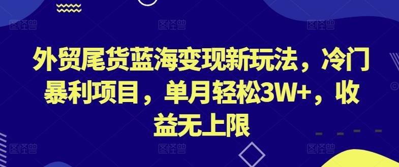 外贸尾货蓝海变现新玩法，冷门暴利项目，单月轻松3W+，收益无上限【揭秘】-大熊网创