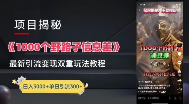 一千个野路子信息差最新玩法教程-变现+引流的玩法具体拆解【揭秘】-网创星球