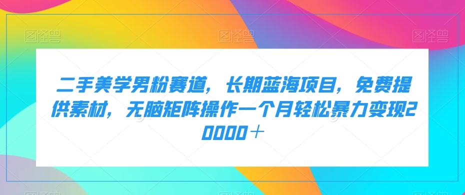 二手美学男粉赛道，长期蓝海项目，无脑矩阵操作一个月轻松暴力变现20000＋-大熊网创