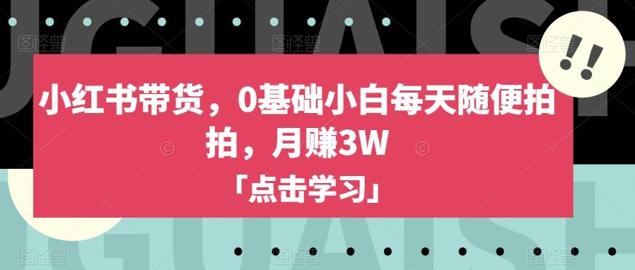 小红书带货，0基础小白每天随便拍拍，月赚3W【揭秘】-大熊网创