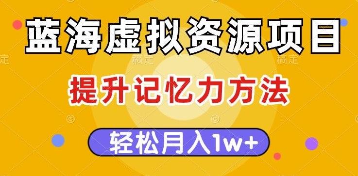 蓝海虚拟资源项目，提升记忆力方法，多种变现方式，轻松月入1w+【揭秘】-大熊网创