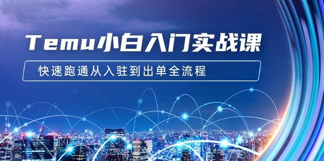 (9295期)Temu小白入门实战课：跨境拼多多电商培训 快速跑通从入驻到出单全流程-12节-大熊网创