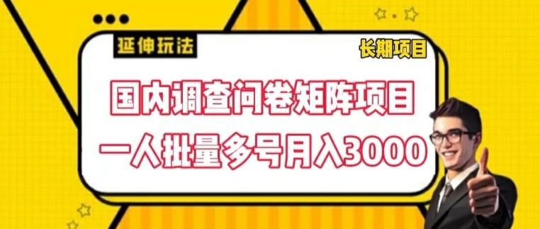 国内调查问卷矩阵项目，一人批量多号月入3000【揭秘】-大熊网创