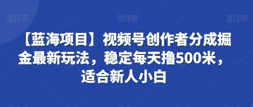 【蓝海项目】视频号创作者分成掘金最新玩法，稳定每天撸500米，适合新人小白【揭秘】-大熊网创