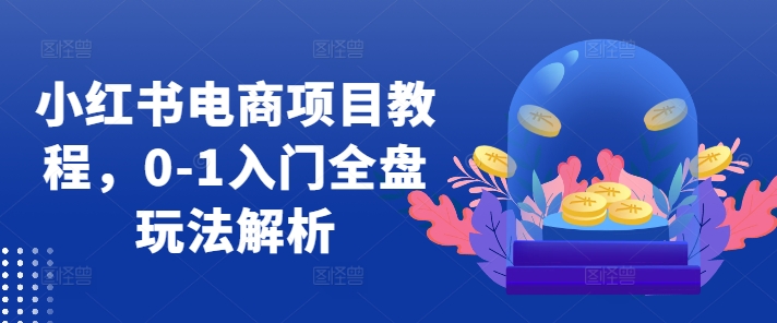 小红书电商项目教程，0-1入门全盘玩法解析-大熊网创