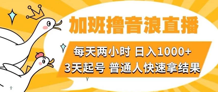 加班撸音浪直播，每天两小时，日入1000+，直播话术才3句，3天起号，普通人快速拿结果【揭秘】-大熊网创