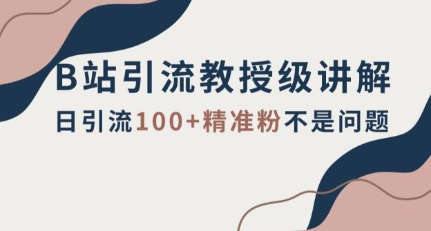 B站引流教授级讲解，细节满满，日引流100+精准粉不是问题【揭秘】-大熊网创