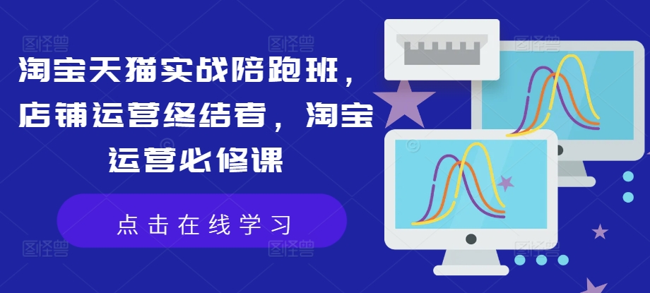 淘宝天猫实战陪跑班，店铺运营终结者，淘宝运营必修课-大熊网创