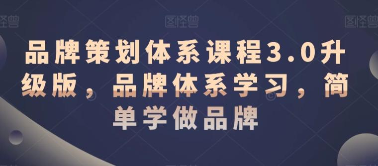 品牌策划体系课程3.0升级版，品牌体系学习，简单学做品牌-大熊网创