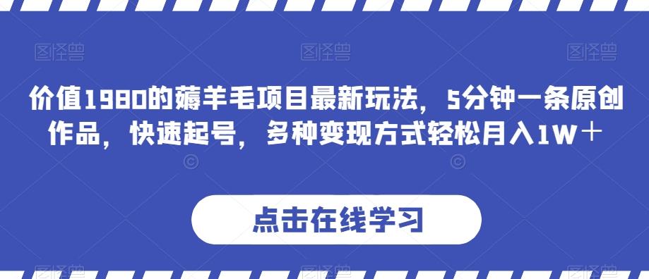 价值1980的薅羊毛项目最新玩法，5分钟一条原创作品，快速起号，多种变现方式轻松月入1W＋【揭秘】-大熊网创