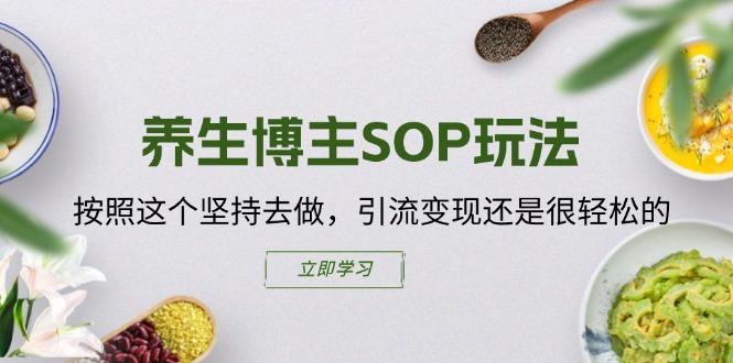 养生博主SOP玩法，按照这个坚持去做，引流变现还是很轻松的-大熊网创