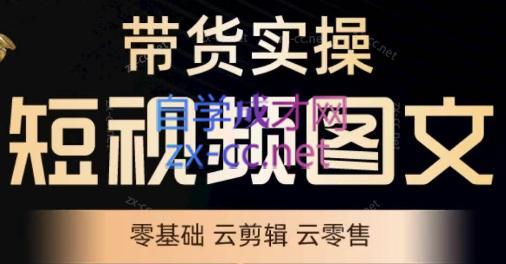 鑫哥·2024零基础短视频带货实操营-大熊网创