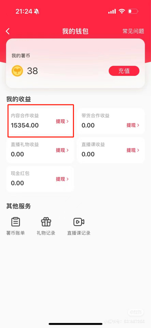 热门评论引爆小红书流量，作品制作简单，广告接到手软，月入过万不是梦-大熊网创