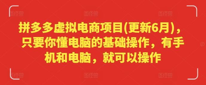 拼多多虚拟电商项目(更新6月)，只要你懂电脑的基础操作，有手机和电脑，就可以操作-大熊网创
