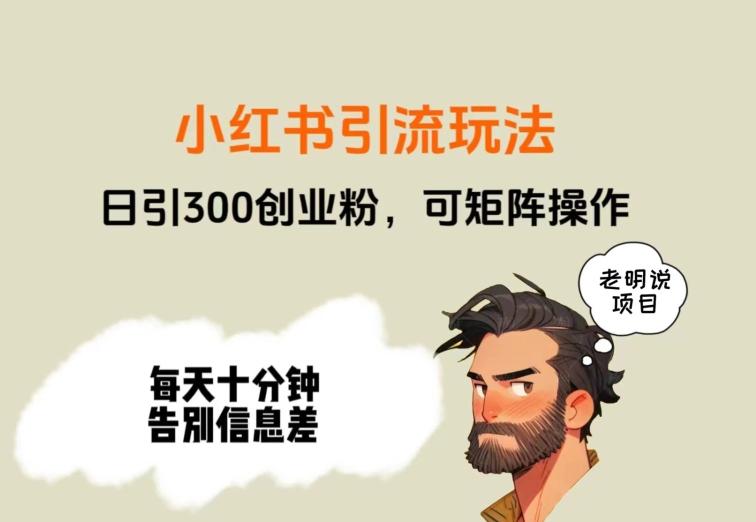 靠小红书视频日印300粉，两分钟一个视频轻松矩阵-大熊网创