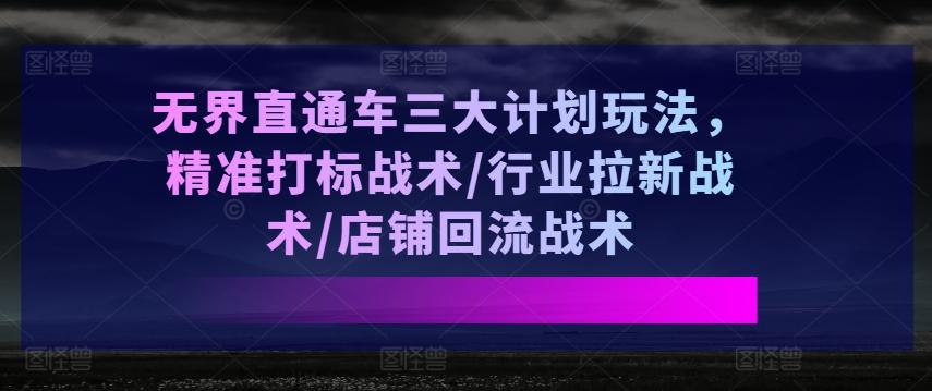无界直通车三大计划玩法，精准打标战术/行业拉新战术/店铺回流战术-大熊网创