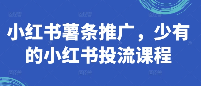 小红书薯条推广，少有的小红书投流课程-大熊网创