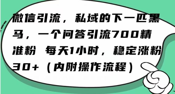 怎么搞精准创业粉？微信新赛道，每天一小时，利用Ai一个问答日引100精准粉-大熊网创