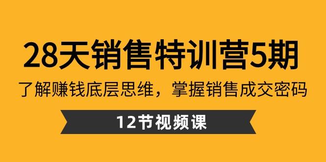 28天销售特训营5期：了解赚钱底层思维，掌握销售成交密码（12节课）-大熊网创