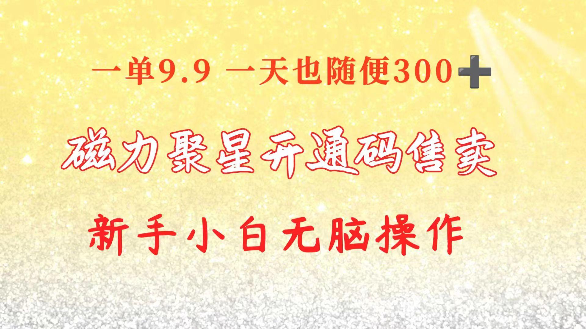 快手磁力聚星码信息差 售卖  一单卖9.9  一天也轻松300+ 新手小白无脑操作-大熊网创