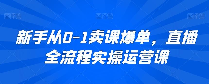 新手从0-1卖课爆单，直播全流程实操运营课-大熊网创
