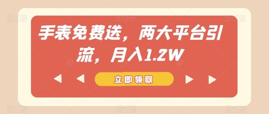 手表免费送，两大平台引流，月入1.2W【揭秘】-大熊网创