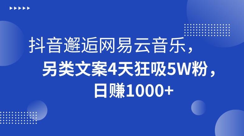 抖音邂逅网易云音乐，另类文案4天狂吸5W粉，日赚1000+【揭秘】-大熊网创