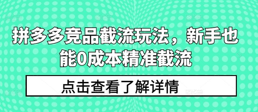拼多多竞品截流玩法，新手也能0成本精准截流-大熊网创