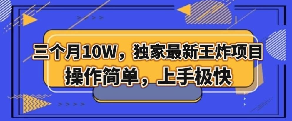 三个月10W，独家最新王炸项目！操作简单，上手极快【揭秘】-大熊网创