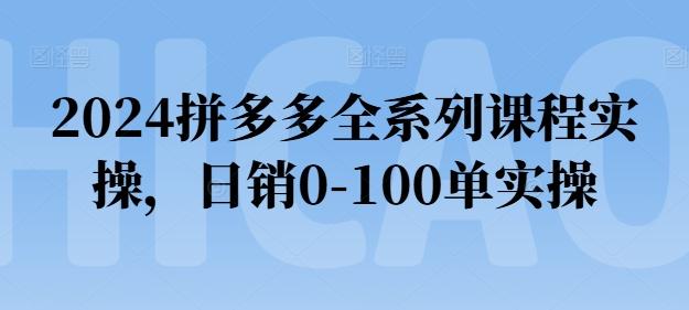 2024拼多多全系列课程实操，日销0-100单实操【必看】-大熊网创