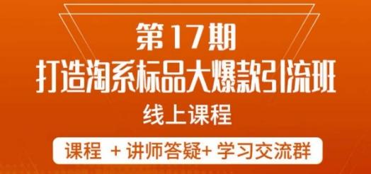 南掌柜-第17期打造淘系标品大爆款，5天线上课-大熊网创