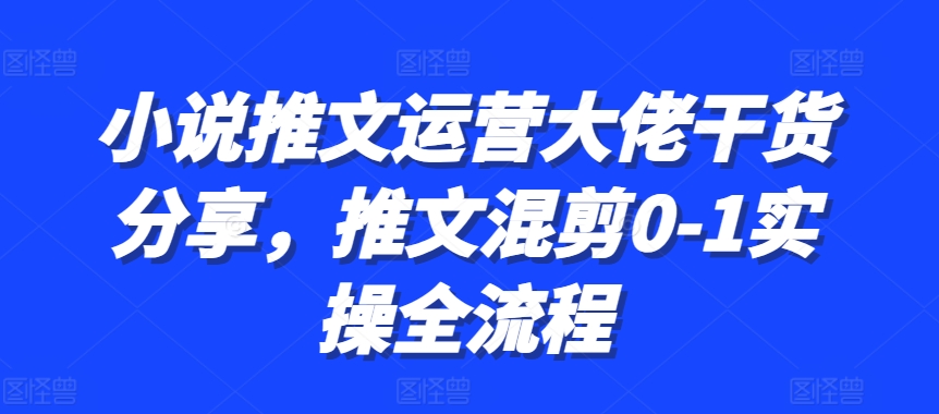 小说推文运营大佬干货分享，推文混剪0-1实操全流程-大熊网创