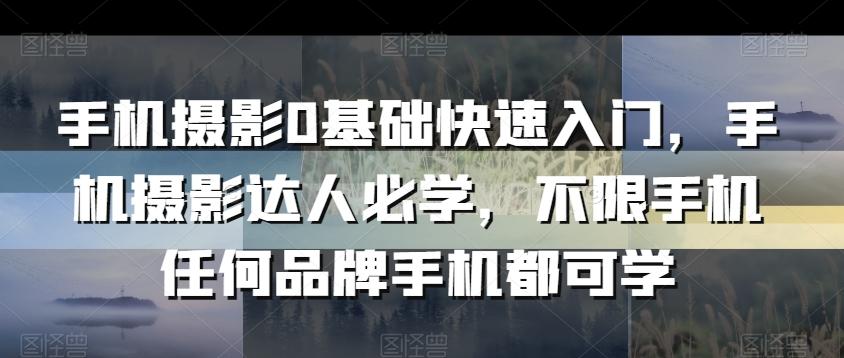 手机摄影0基础快速入门，手机摄影达人必学，不限手机任何品牌手机都可学-大熊网创
