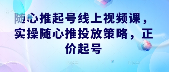 随心推起号线上视频课，实操随心推投放策略，正价起号-大熊网创