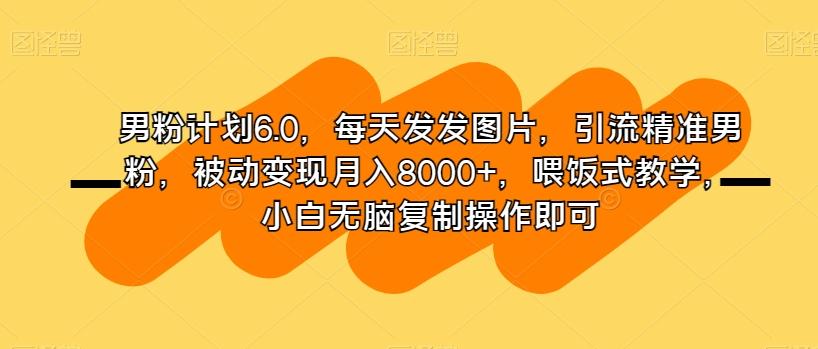 男粉计划6.0，每天发发图片，引流精准男粉，被动变现月入8000+，喂饭式教学，小白无脑复制操作即可-大熊网创