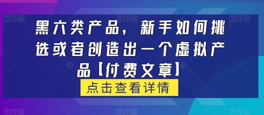 黑六类虚拟产品，新手如何挑选或者创造出一个虚拟产品【付费文章】-大熊网创