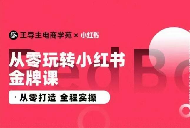 王导主·小红书电商运营实操课，​从零打造  全程实操-大熊网创