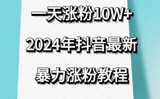 抖音最新暴力涨粉教程，视频去重，一天涨粉10w+，效果太暴力了，刷新你们的认知【揭秘】-大熊网创