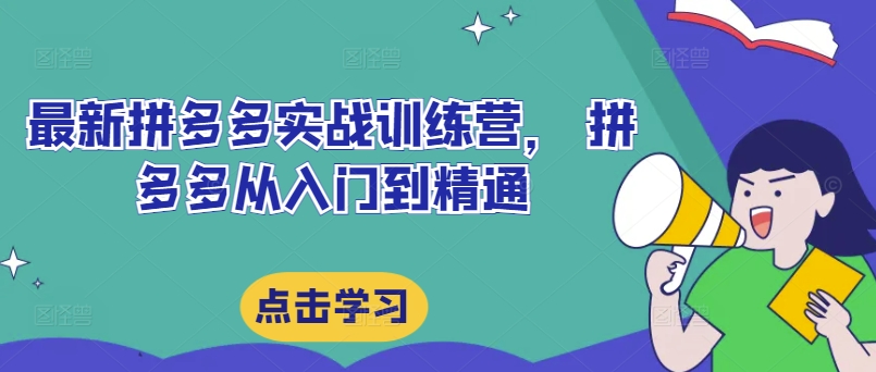 最新拼多多实战训练营， 拼多多从入门到精通-大熊网创