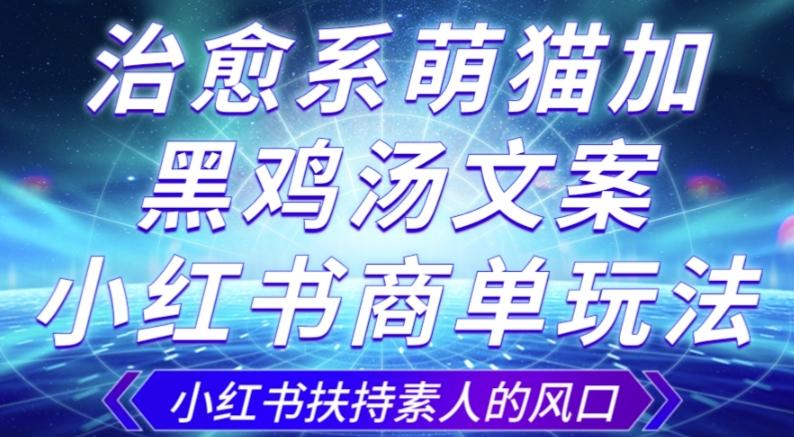 治愈系萌猫加+黑鸡汤文案，小红书商单玩法，3~10天涨到1000粉，一单200左右-大熊网创