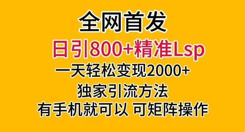 全网首发！日引800+精准老色批，一天变现2000+，独家引流方法，可矩阵操作【揭秘】-大熊网创