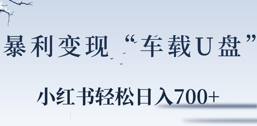 小红书“车载U盘”暴利引流，日入700+-大熊网创