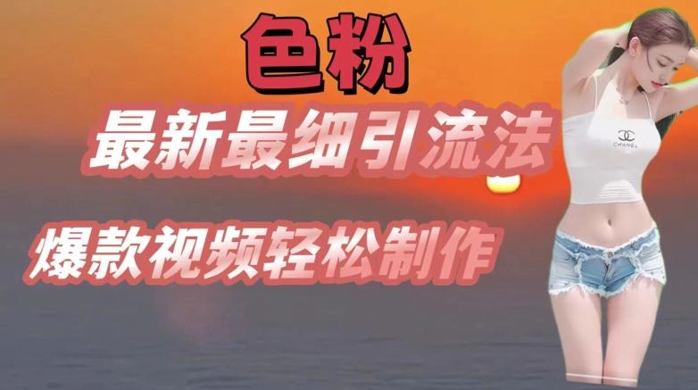 se粉最新最细引流法，七天螺旋起号法，爆款视频轻松制作【揭秘】-大熊网创