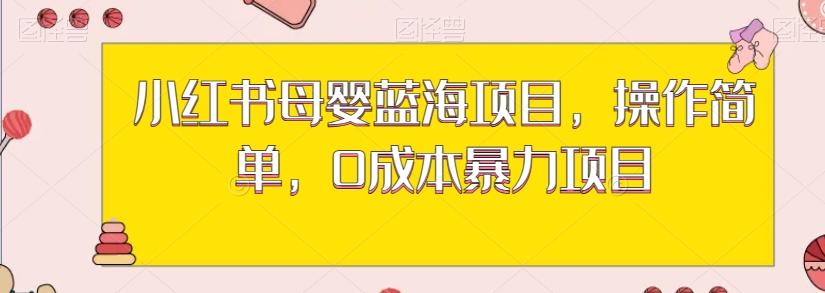 小红书母婴蓝海项目，操作简单，0成本暴力项目-大熊网创