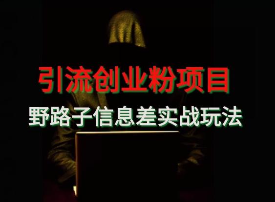 【引流创业粉】野路子信息差玩法实战教学-大熊网创