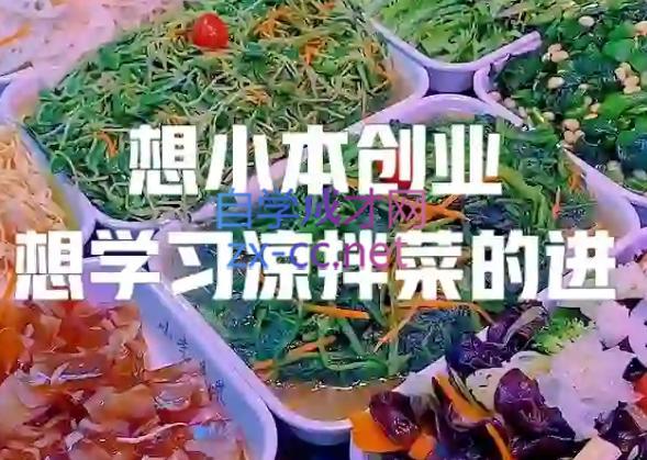 李记·精品凉拌菜系列热卤系列教程-大熊网创