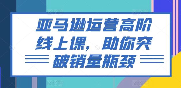 亚马逊运营高阶线上课，助你突破销量瓶颈-大熊网创