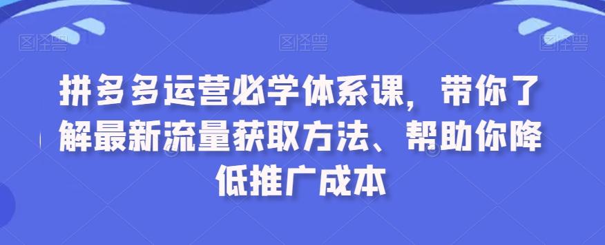 拼多多运营必学体系课，带你了解最新流量获取方法、帮助你降低推广成本-大熊网创