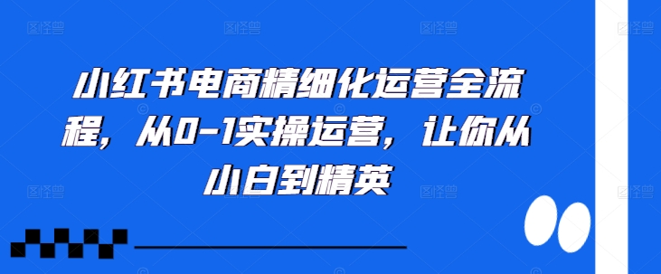 小红书电商精细化运营全流程，从0-1实操运营，让你从小白到精英-大熊网创