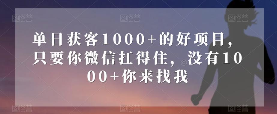 单日获客1000+的好项目，只要你微信扛得住，没有1000+你来找我【揭秘】-大熊网创